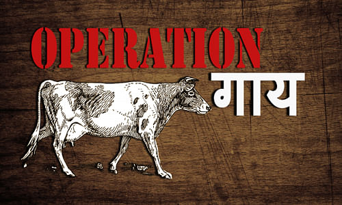 operation-cow